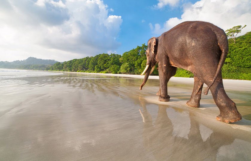 Elephant Beach, Andaman and Nicobar Islands, India